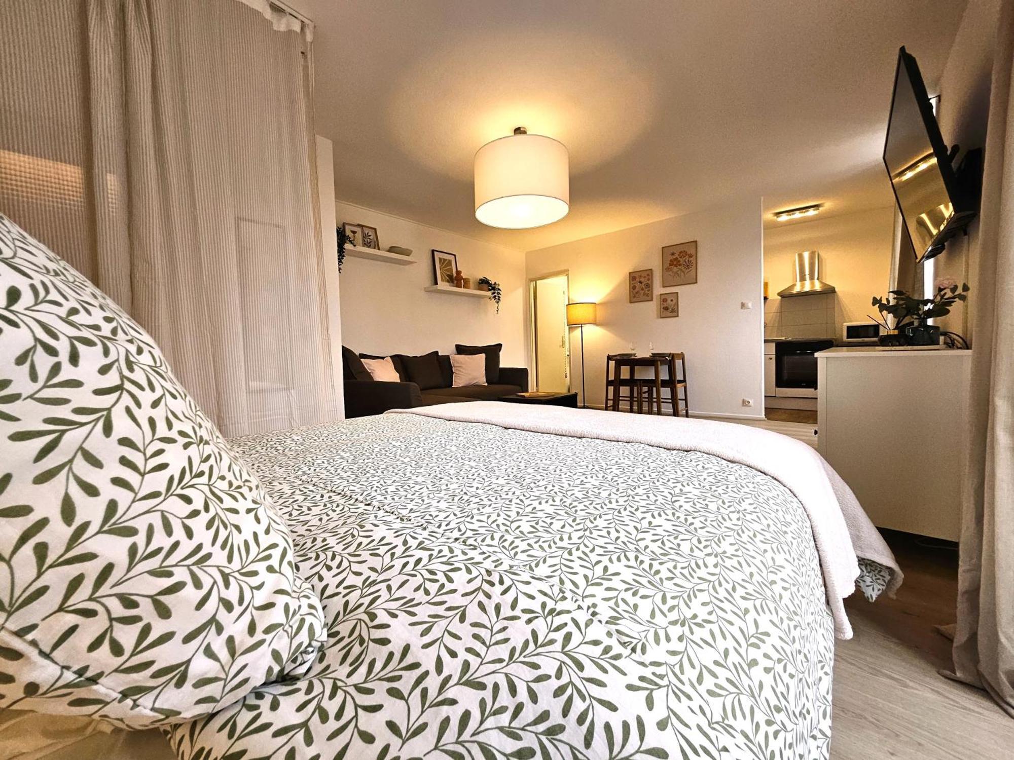 Apartment Cosy- Hyper Centre Colmar